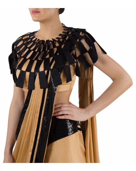 beige-gold-satin-silk-saree-with-black-shiny-border-brick-textured-cape-blouse (1)